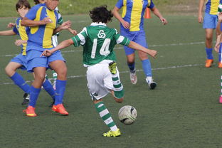 又见绝平！丹佛掘金与切尔西鏖战至终场，王楚钦读秒救主